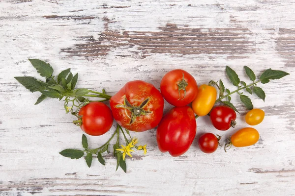 Färsk tomat frukter på trä bakgrund från ovan. — Stockfoto