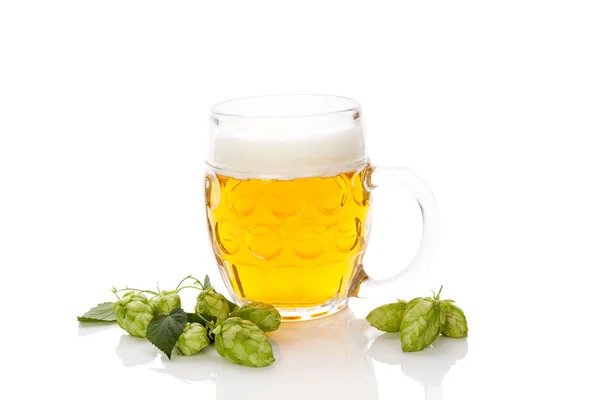 Bier mit Hopfenfrüchten isoliert. — Stockfoto