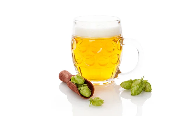 Öl med hop frukt. — Stockfoto