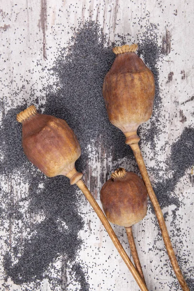 Cabezas secas de amapola sobre fondo de madera con granel — Foto de stock gratuita