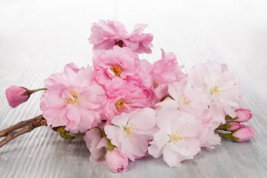 Romantik bahar arka plan.