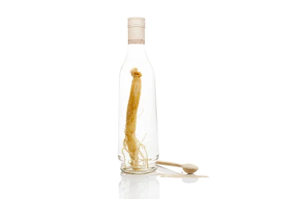 Raiz de ginseng preservada em álcool . — Fotografia de Stock