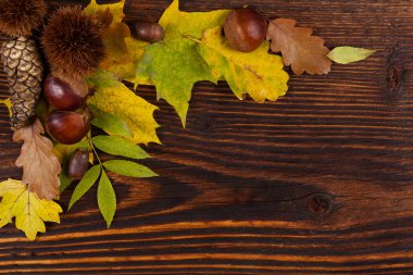 Kestane ile sonbahar yaprakları