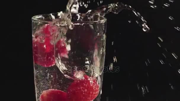 Frische reife Himbeeren. — Stockvideo