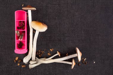 Psychedelic mantar microdosing.