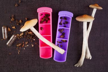 Fresh and dried magic mushrooms. clipart