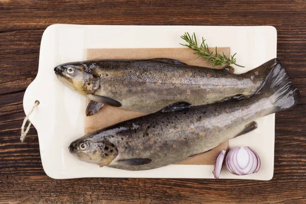 Fresh raw trout fish. — Stock Photo, Image