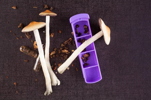 Psilocybine magic mushrooms. — Stock Photo, Image