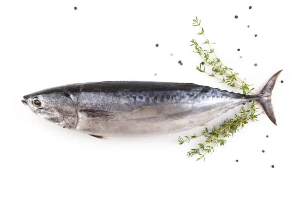 Roher Thunfisch auf weißem Hintergrund — Stockfoto