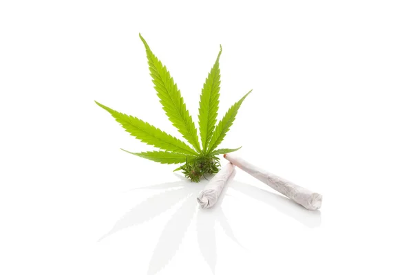 Cannabis gewrichten geïsoleerd. — Stockfoto