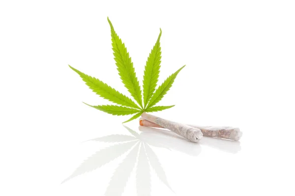 Marijuana leder och blad. — Stockfoto