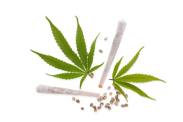 Cannabis leder och frön från ovan. — Stockfoto