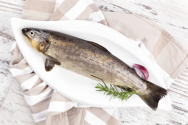 Fresh rainbow trout from above. — Stock Photo, Image