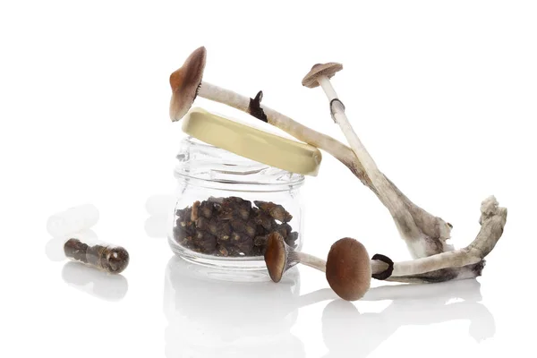 Dried Magic mushrooms in glass jar — Stock Photo, Image