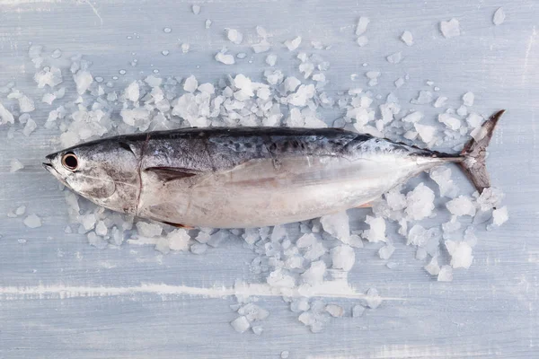 新鮮なマグロ魚氷を — ストック写真