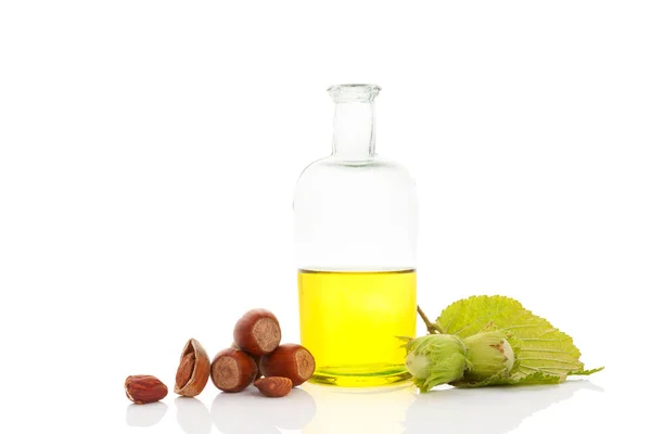 Healthy hazelnut oil — Stock Photo, Image