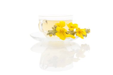 Verbascum, ortak sığırkuyruğu çay.