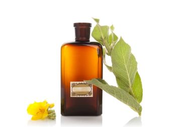 Verbascum, ortak sığırkuyruğu.