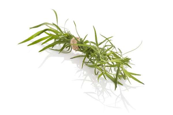 Таррагон. Artemisia dracunculus — стоковое фото