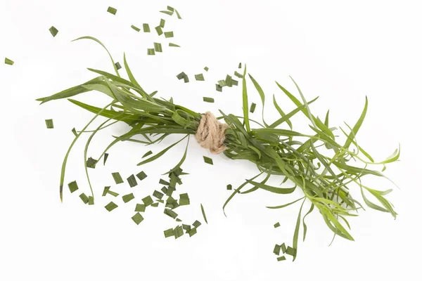 Estragón. Artemisia dracunculus — Foto de Stock