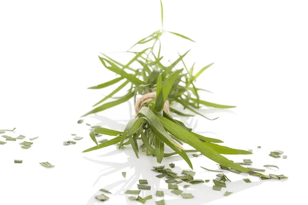 Estragon. Artemisia dracunculus — 图库照片