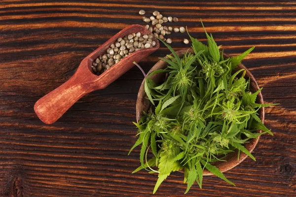 Montón de marihuana medicinal en tazón de madera con semillas de marihuana —  Fotos de Stock