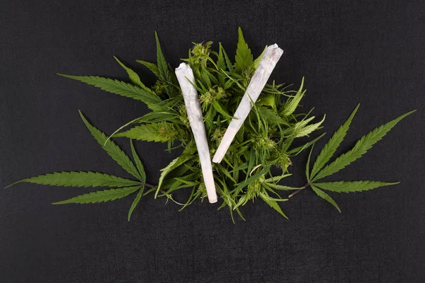 Marijuana leder och blad. — Stockfoto