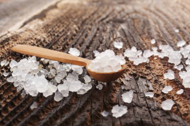 İzole Shungite taşlar.