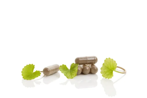 Medicina verde Gotu kola — Fotografia de Stock