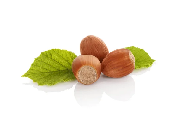 Delicious Hazelnuts  isolated on white. — Stock Photo, Image