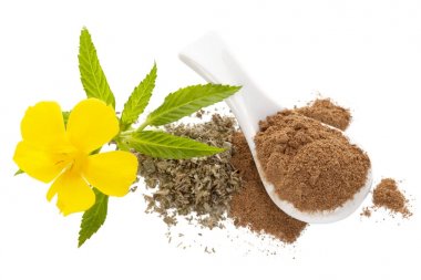 Damiana çiçek ve damiana yaprakları ve tozu kurutulmuş 