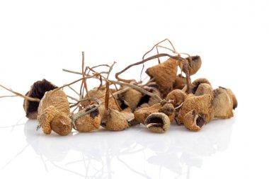 Tıbbi kurutulmuş sihirli mantar.