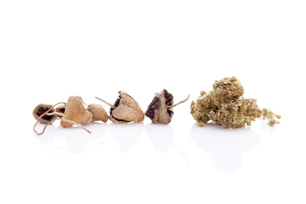 Сушеные волшебные грибы с бутоновой марихуаной — стоковое фото