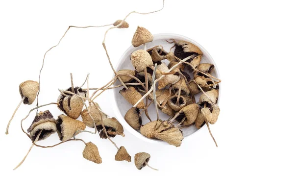 Dried magic mushrooms in cup from above. — Stock Photo, Image