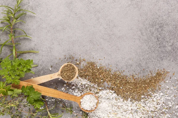 Fondo de hierbas culinarias . — Foto de Stock