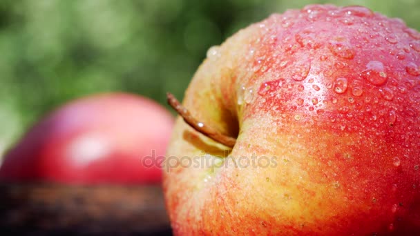 新鮮な熟したジューシーなアップルと水滴 新鮮なフルーツの概念 — ストック動画