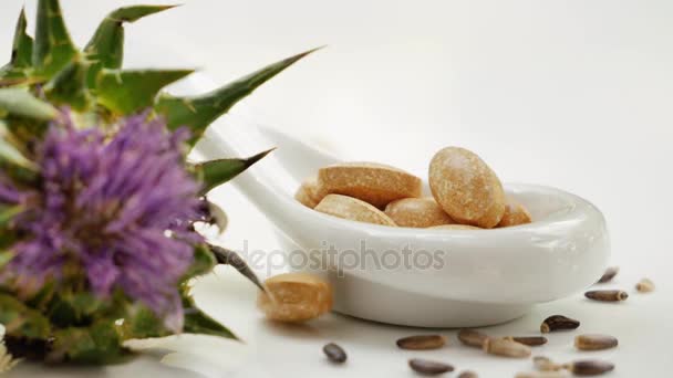 Pastillas Cardo Mariano Cayendo Cuchara Flor Cardo Mariano Semillas Pastillas — Vídeos de Stock