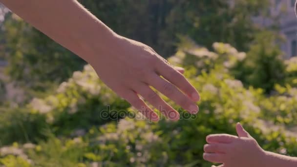 Mère Donnant Main Son Petit Garçon Aux Yeux Bleus Dans — Video