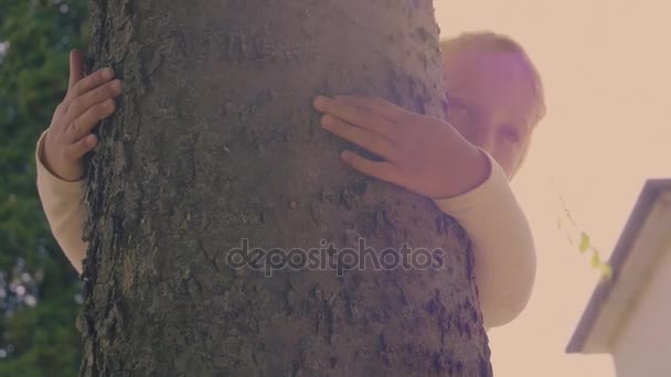 Sevimli Küçük Kız Ağaca Sarılmak Bir Ağacın Etrafında Kollarını Koyar — Stok video