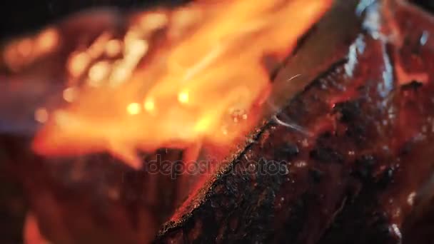 Chiuda Cottura Una Carne Maiale Con Fiamma Ossidrica Dettaglio Barbecue — Video Stock