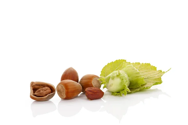 Hazelnuts with leaves isolated. — Stock Photo, Image