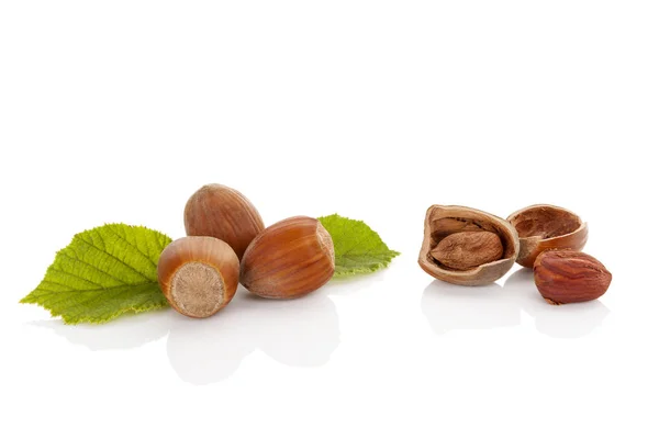 Fresh organic hazelnuts. — Stock Photo, Image