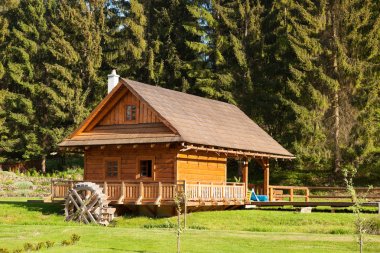 Ormandaki ahşap kulübe.