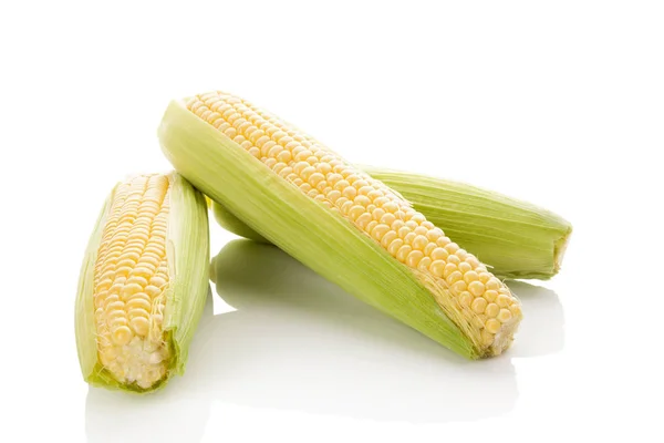 Mazorca de maíz fresco . — Foto de Stock