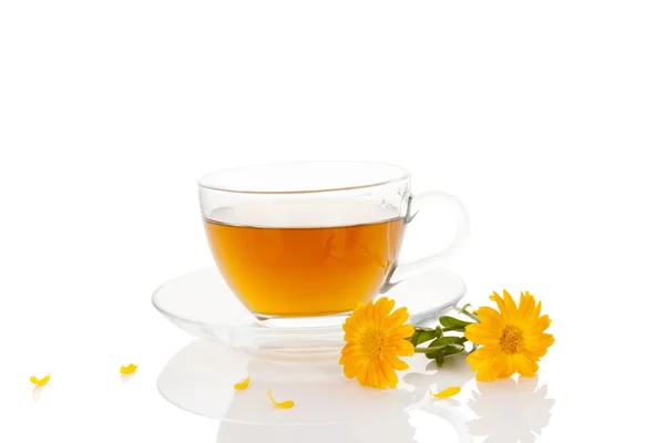 Calendula gyógynövény tea csészében. — Stock Fotó