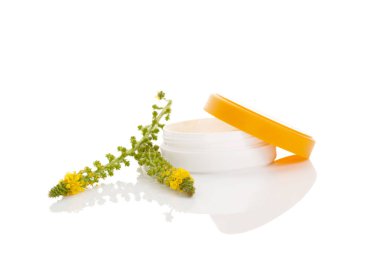 Creme ve ortak Kasıkotu çiçeği.