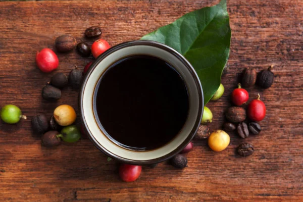 Olgun, taze ve kavrulmuş kahve çekirdekleri fincan kahve çevresinde — Stok fotoğraf