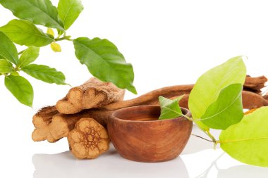 Ayahuasca tıp.