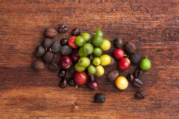 Café con frutas y granos de café . — Foto de Stock