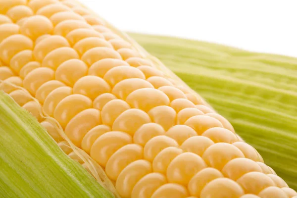 Zamknąć na świeżych kukurydzy. — Zdjęcie stockowe